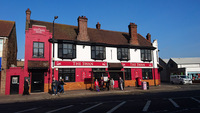 The Swan