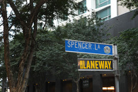 The Laneway