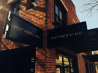 Local Business Mother Vine in Adelaide SA