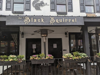 Local Business The Black Squirrel Pub and Haunt in Philadelphia PA