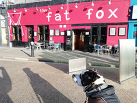 Local Business The Fox - Southsea in Southsea England