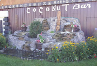 Coconut Bar