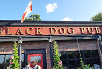 The Black Dog Pub