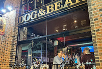 The Dog & Bear Pub