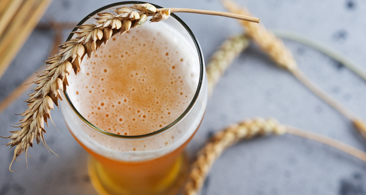 What's in BEER? Discover what makes up the humble brew.